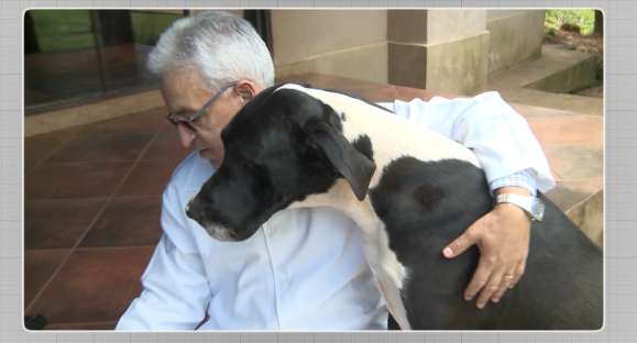 Vida Animal: você é dono ou tutor do seu pet?