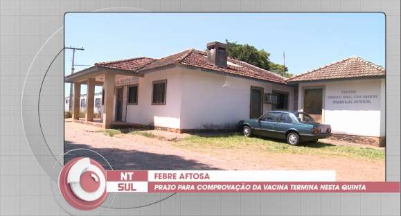 Prazo para comprovar vacinação contra aftosa termina nesta quinta-feira