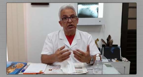 Vida animal: Coronavírus e a higiene dos pets