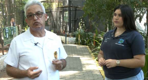 Dieniffer Moraes é da agropecuária, mas busca conhecimento em estágio no Zoológico de Cachoeira