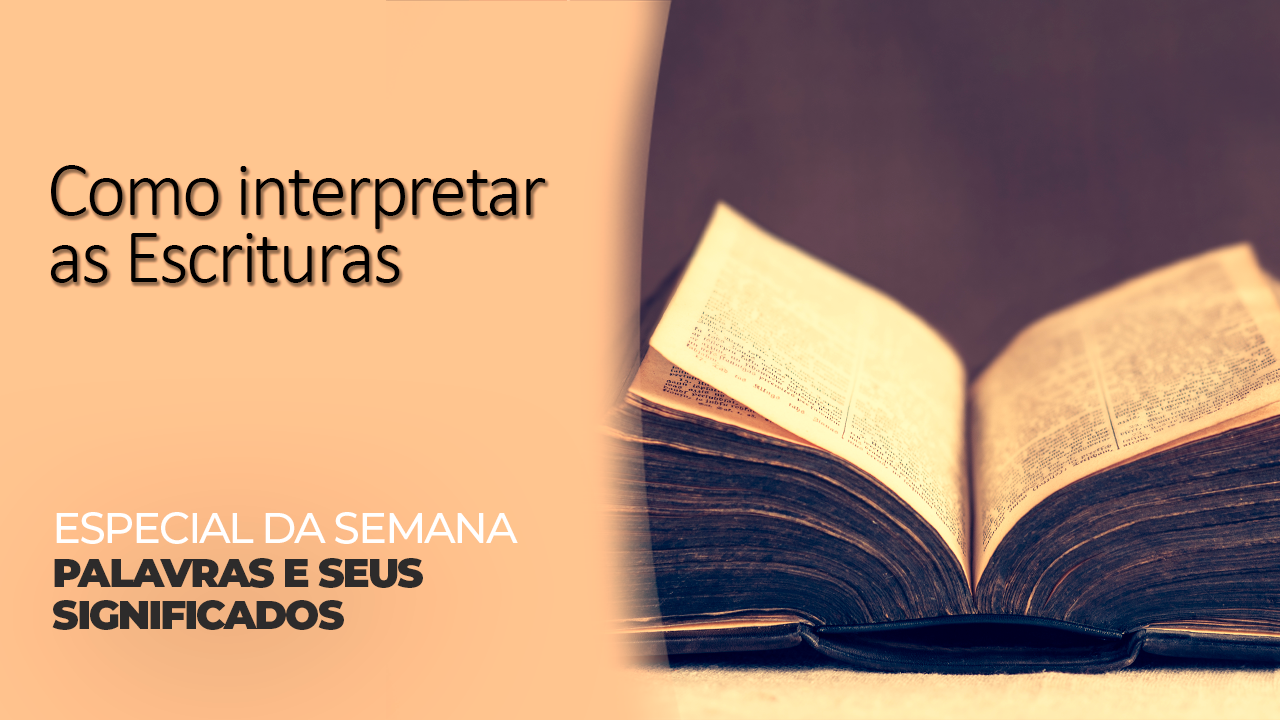 Palavras e seus significados - Rede Novo Tempo de Comunicação