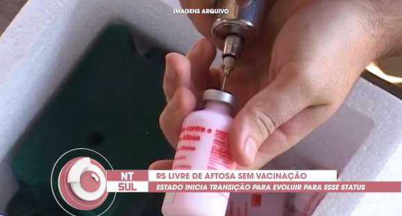 RS busca status de estado livre de aftosa sem vacinação