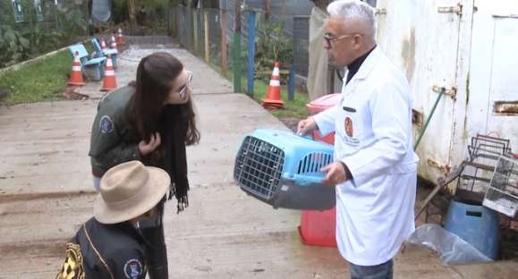 Vida Animal: o trabalho do Zoológico de Cachoeira do Sul