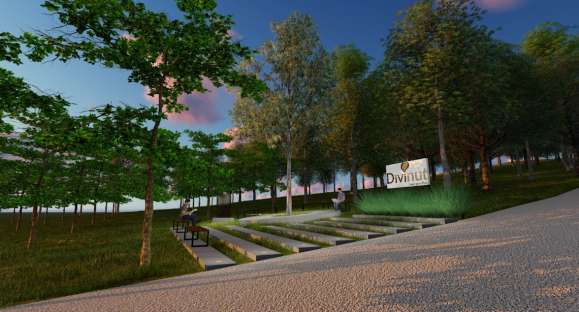 Divinut completa 20 anos e comemora com novidades