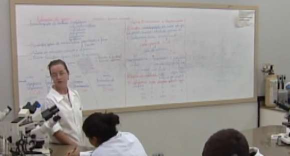 Educação: Câmara aprova suspensão dos 200 dias letivos