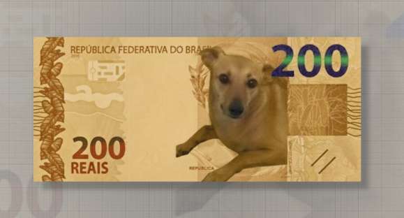 Mobilização quer vira-lata caramelo na nova nota de R$ 200