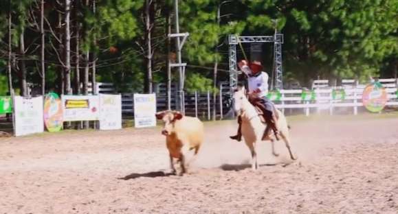 Governo do RS autoriza retomada de atividades e provas campeiras