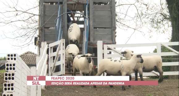 Feapec 2020 está mantida, mas com leilões virtuais