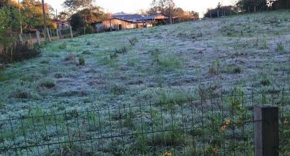 Tempo: Cachoeira do Sul teve geada nesta sexta-feira; 8 municípios gaúchos registraram neve