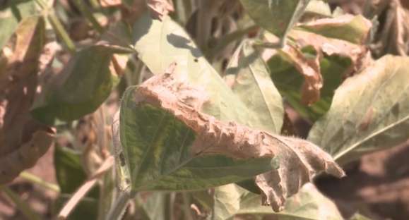 Outubro será mês chuvoso, enquanto novembro e dezembro terão chuvas abaixo da média