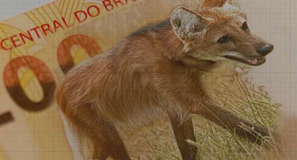 Nota de R$ 200 entra em circulação nesta quarta-feira