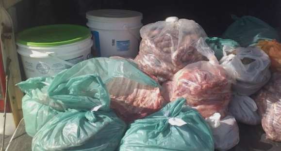 Carne suína sem procedência é apreendida em Cachoeira