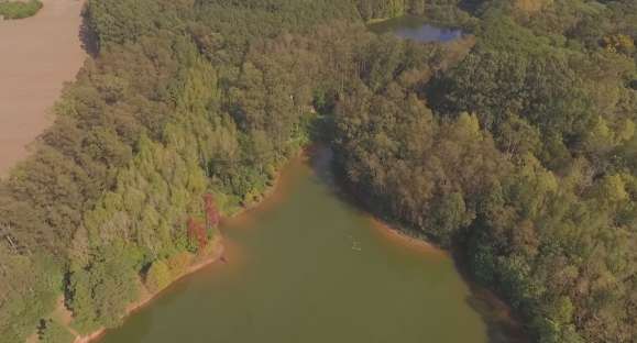 Ministério do Meio Ambiente cria cadastro ambiental urbano