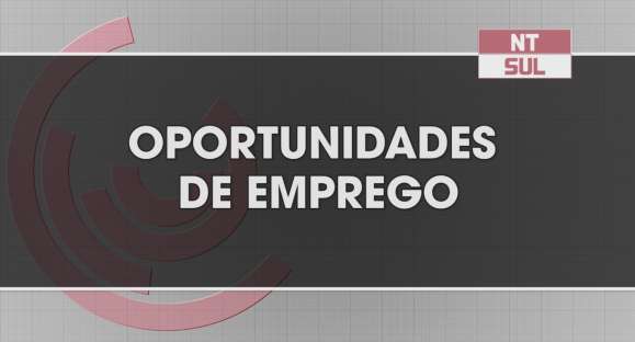 Veja as oportunidades de emprego nesta segunda-feira