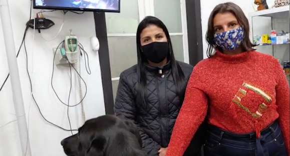 Vida Animal: Conheça a Ong Quatro patas com amor