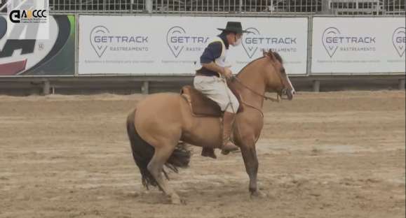 Freio de Ouro 2020: animais vencedores são do Uruguai e de Santa Cruz do Sul