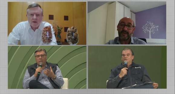 Cresce o consumo de nozes no Brasil