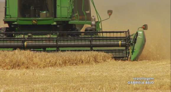 Produção agropecuária tem maior valor bruto da história