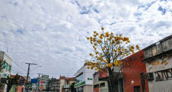 Terça-feira começou com sol, mas nuvens devem predominar à tarde e pode ter pancadas de chuva