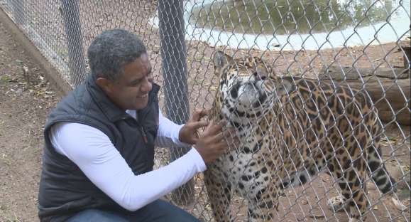 Amigo da onça?! Conhecido pelos animais do Zoológico, ‘Jorge do Zoo’ se aposenta
