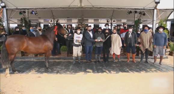 Expointer digital teve 187 mil visualizações e 70 mil acessos