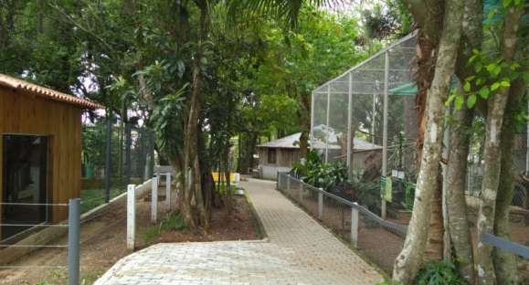 Zoológico Municipal de Cachoeira reabre amanhã para o público