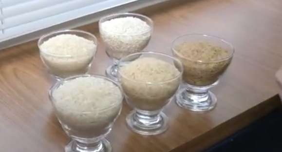 Alimentando Escolhas: entenda a diferença entre os tipos de arroz
