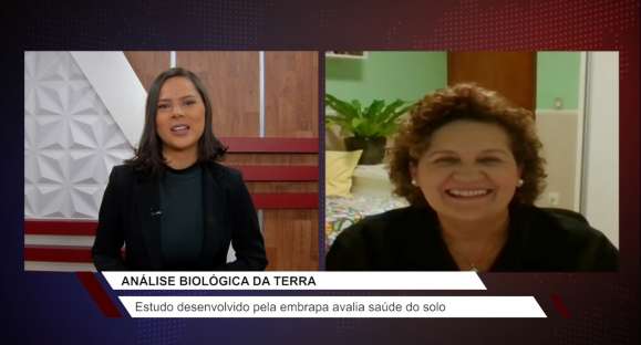 Estudo desenvolvido pela Embrapa avalia saúde do solo
