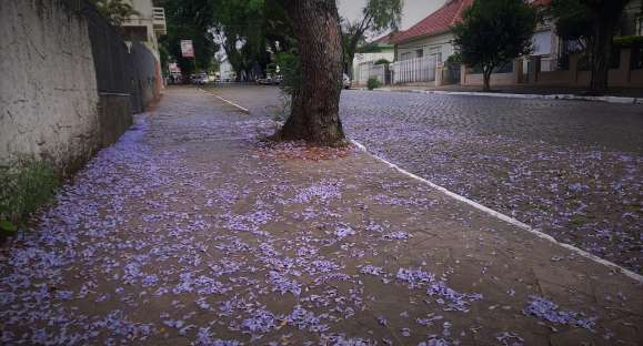 Ainda pode chover em Cachoeira do Sul nesta quinta-feira; sol deve predominar à tarde