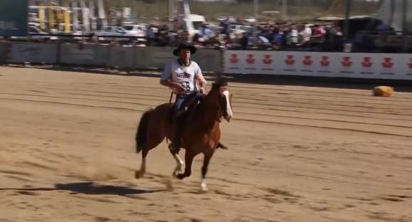 Associação Brasileira de Criadores de Cavalos Crioulos enfrenta pandemia com bons resultados