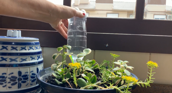 Aprenda a fazer irrigador de garrafa pet