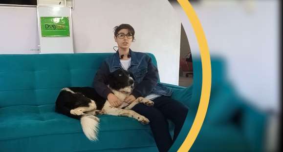 Educa cão: Uma rotina boa pra cachorro
