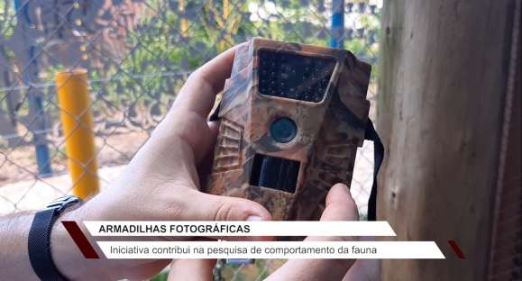 Vida Animal: armadilhas fotográficas ajudam no estudo do comportamento de animais silvestres