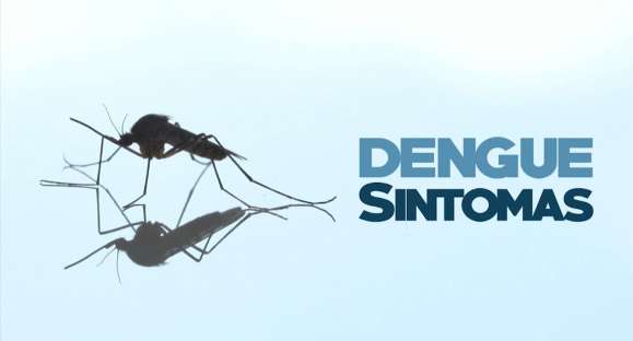 Casos de dengue são registrados em Erechim e situação preocupa