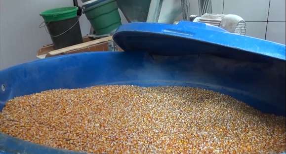 Tradição da moagem de farinha de milho em moinho de pedra é mantida