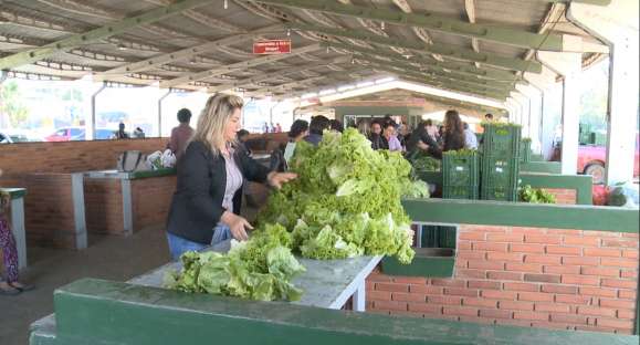150 famílias foram atendidas em 2020 pelo Programa de Aquisição de Alimentos