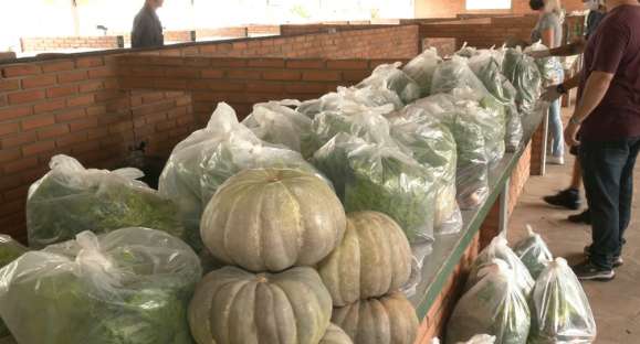 100 sacolões com alimentos são entregues a famílias cachoeirenses