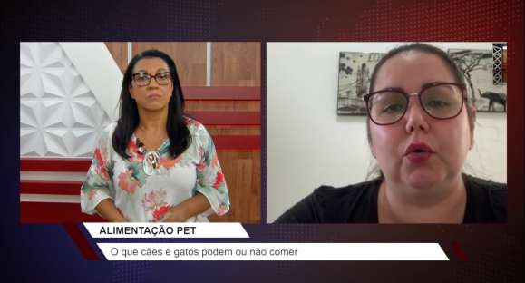 O que é melhor para o pet: ração ou alimento feito em casa?