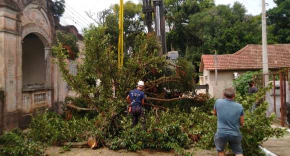 Chuva causa queda de árvores, interrupção do trânsito e acidentes em Cachoeira