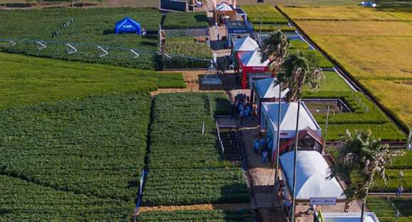 Vice-presidente da República participará da abertura da 32ª Colheita do Arroz