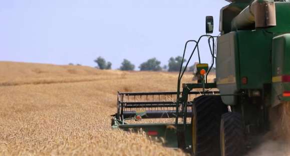 Agropecuária é único setor que apresenta crescimento no PIB