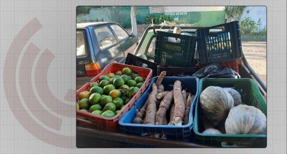 Produtos da agricultura familiar beneficiam aos menos 110 famílias de Cachoeira