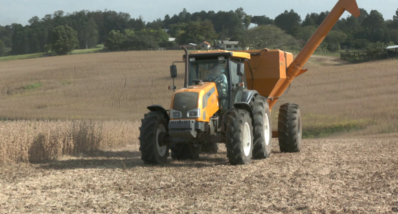 Colheita de soja 2020/21 do RS atinge 96% da área cultivada