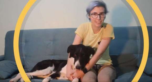 Educa Cão: como a rotina afeta o comportamento do cachorro