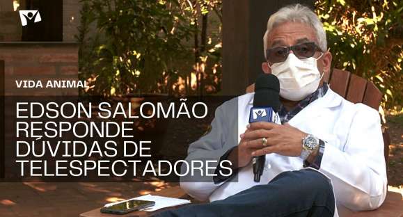 Vida Animal: Edson Salomão responde dúvidas de telespectadores