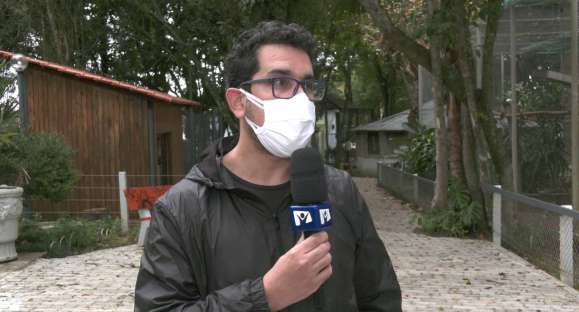 Comdema quer melhorar políticas ambientais de Cachoeira