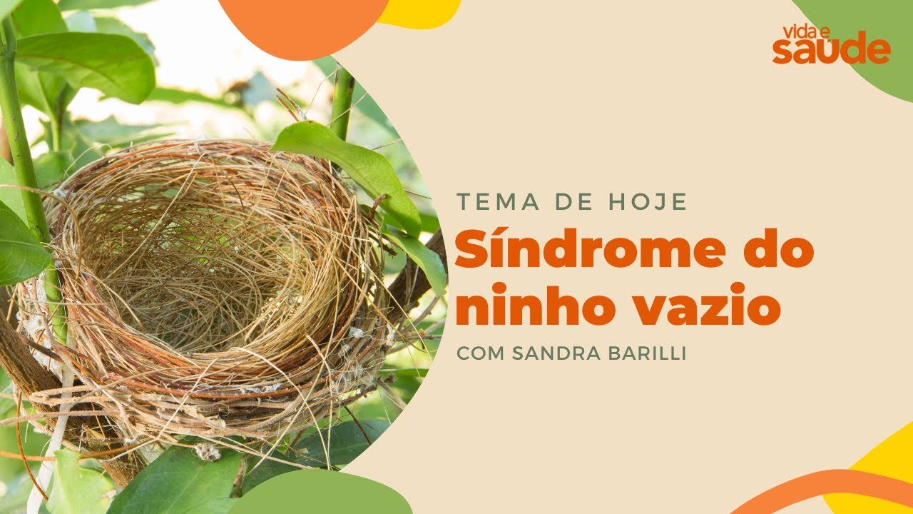 Síndrome do ninho vazio