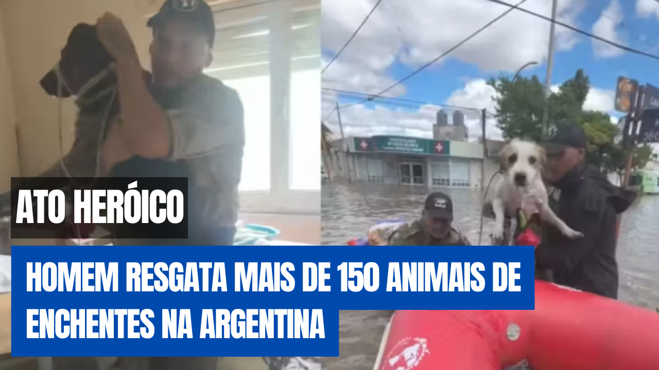 BOAS NOTÍCIAS | GERLANY AMORIM TE CONTA ESSA BOA NOTÍCIA