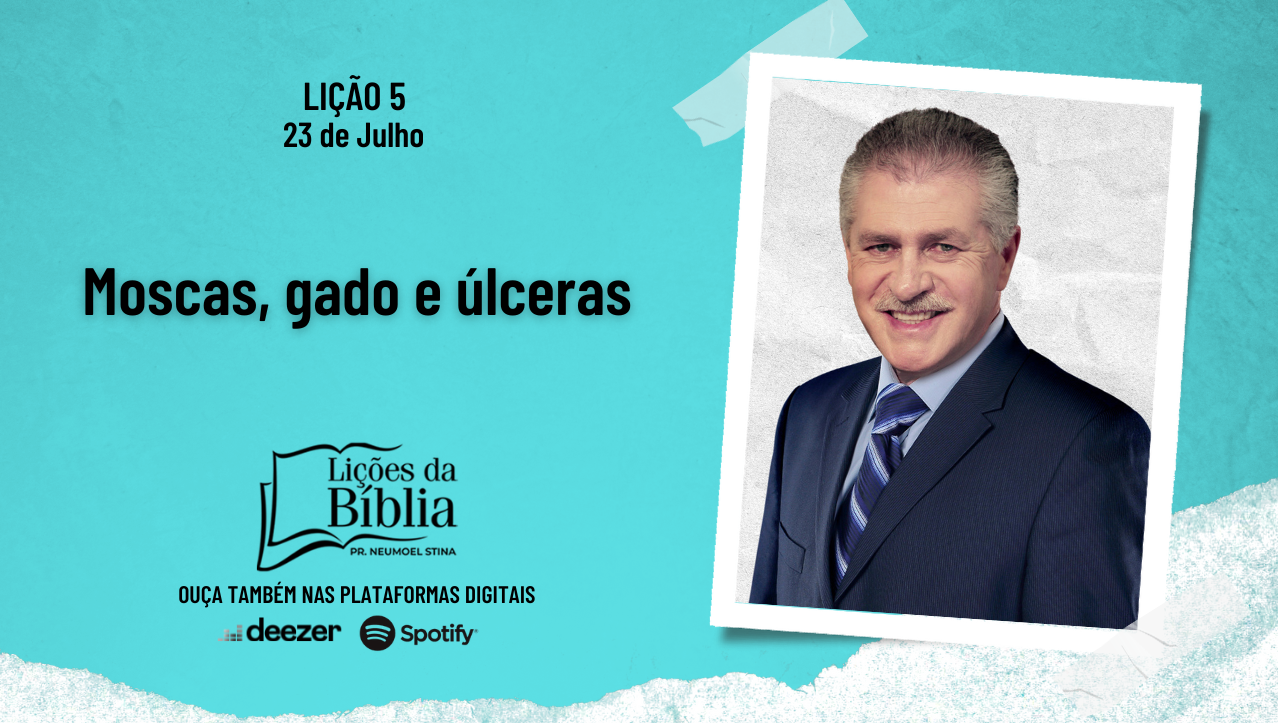 Moscas, gado e úlceras