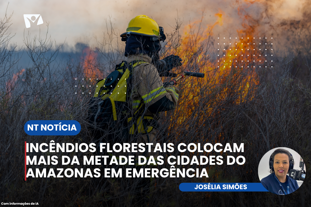 Incêndios florestais colocam mais da metade das cidades do Amazonas em emergência